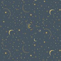 dsStella-D3275 Charcoal